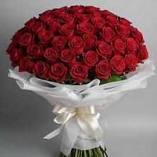 Букет 101 Красная роза Блэк Мэджик #REPLACE_PRED# Новопокровской