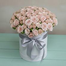 Цветочная композиция из Розы в шляпной коробке #REPLACE_PRED# Новопокровской