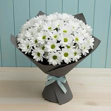 Букет цветов из:  Хризантемы #REPLACE_PRED# Новопокровской