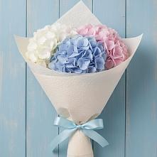 Букет цветов из:  Гортензия в Новопокровской