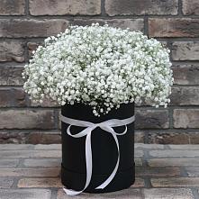 Цветочная композиция из Гипсофила в шляпной коробке в Новопокровской