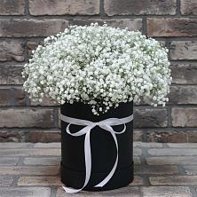 Цветочная композиция из Гипсофила в шляпной коробке в Новопокровской
