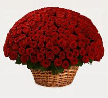 Премиум букет из: Розы #REPLACE_PRED# Новопокровской